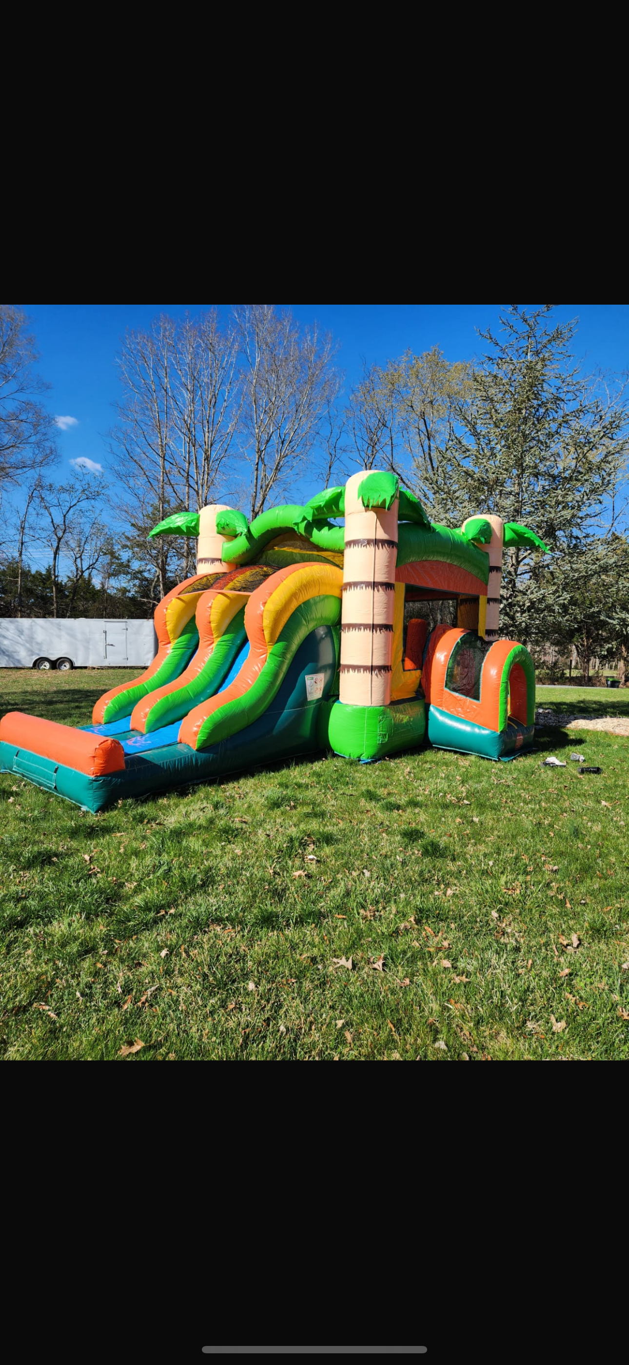 PALMTREE DOBLE SLIDE