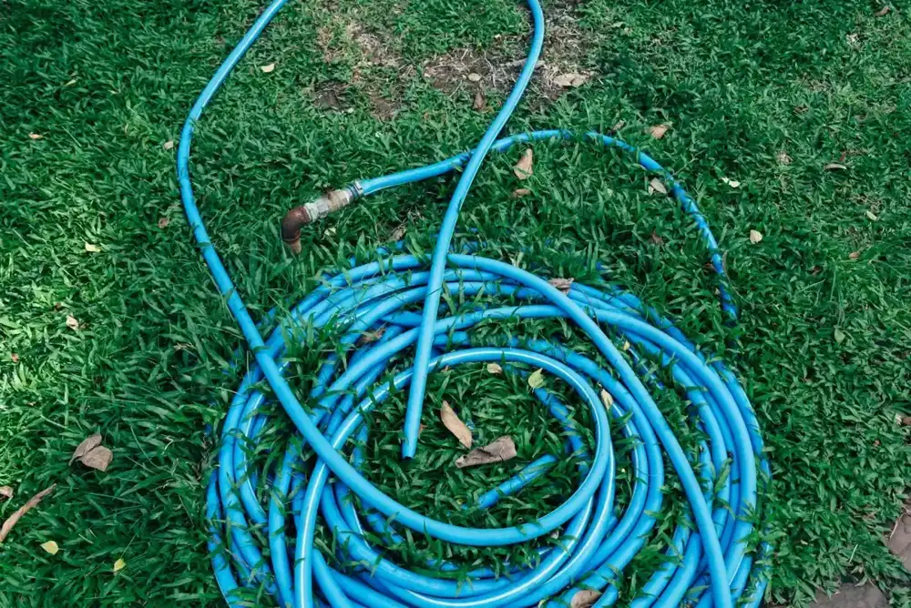 Blue garden hose coiled on green grass