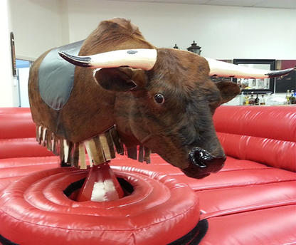 MECHANICAL BULL